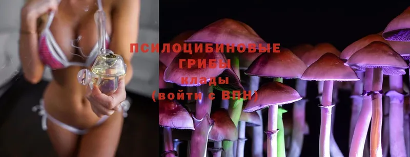 Галлюциногенные грибы MAGIC MUSHROOMS  Билибино 